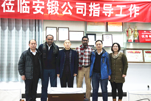 program control hydraulic die forging hammer